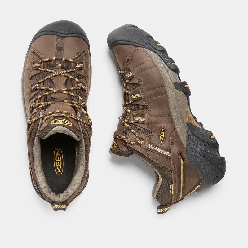 Zapatos Trekking Keen Targhee II Waterproof Para Hombre Marrom - Zapatos Keen Mexico (216570-LEC)